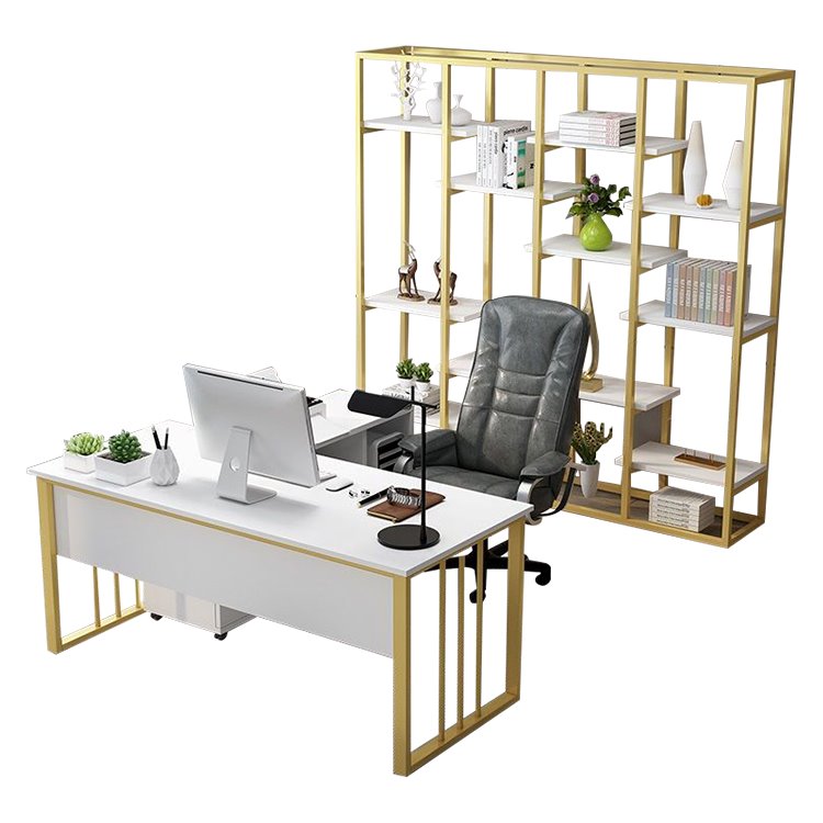 Modern and Minimalist Single Executive Office Desk with Cabinet for Office and Home Use LBZ-10135
