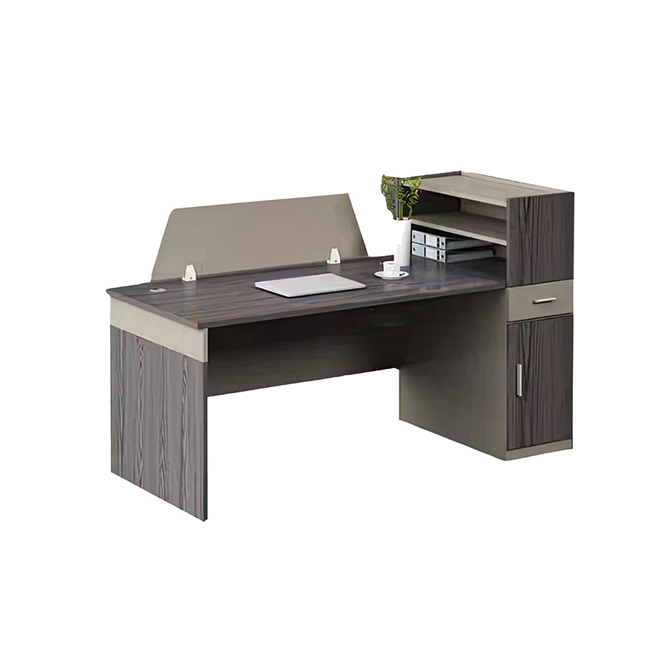 Classic Storage Computer Desk Office Table Modern Spacious Studio Writing Desk YGZ-10102