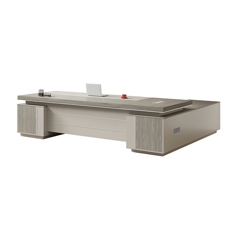 Light Luxury Boss Desk With Private Partition Storage Single Cabinet Two colors Design LBZ-1021