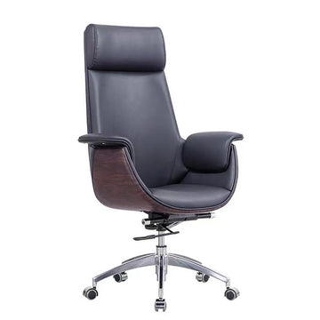 Modern Executive Desk with Breathable Mesh, Lumbar Support & Portable for Home Office