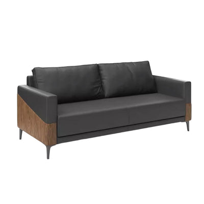 Couch Classic Office Furniture Sofa Fashion Lounge Reception Sofa Suitable for Private Offices BGSF-1046