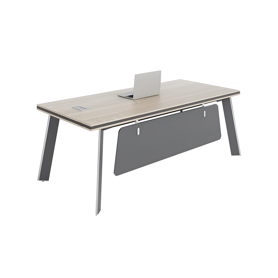 Minimalist Executive Office Desk with Cable Management Box LBZ-10121