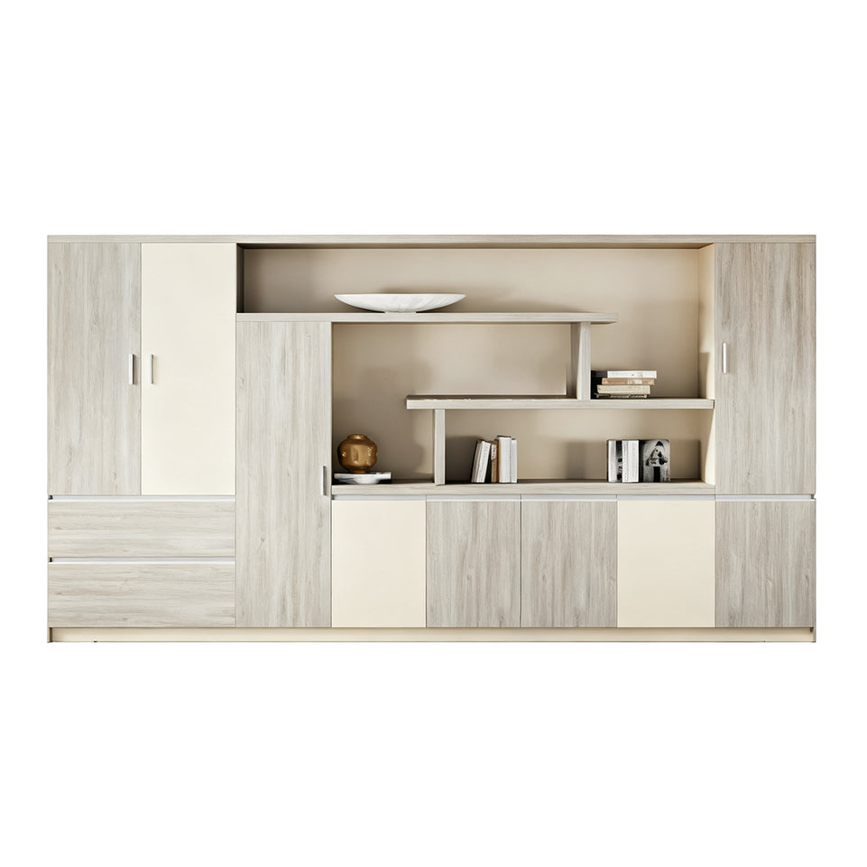 Light Luxury Boss Desk With Private Partition Storage Single Cabinet Two colors Design LBZ-1021