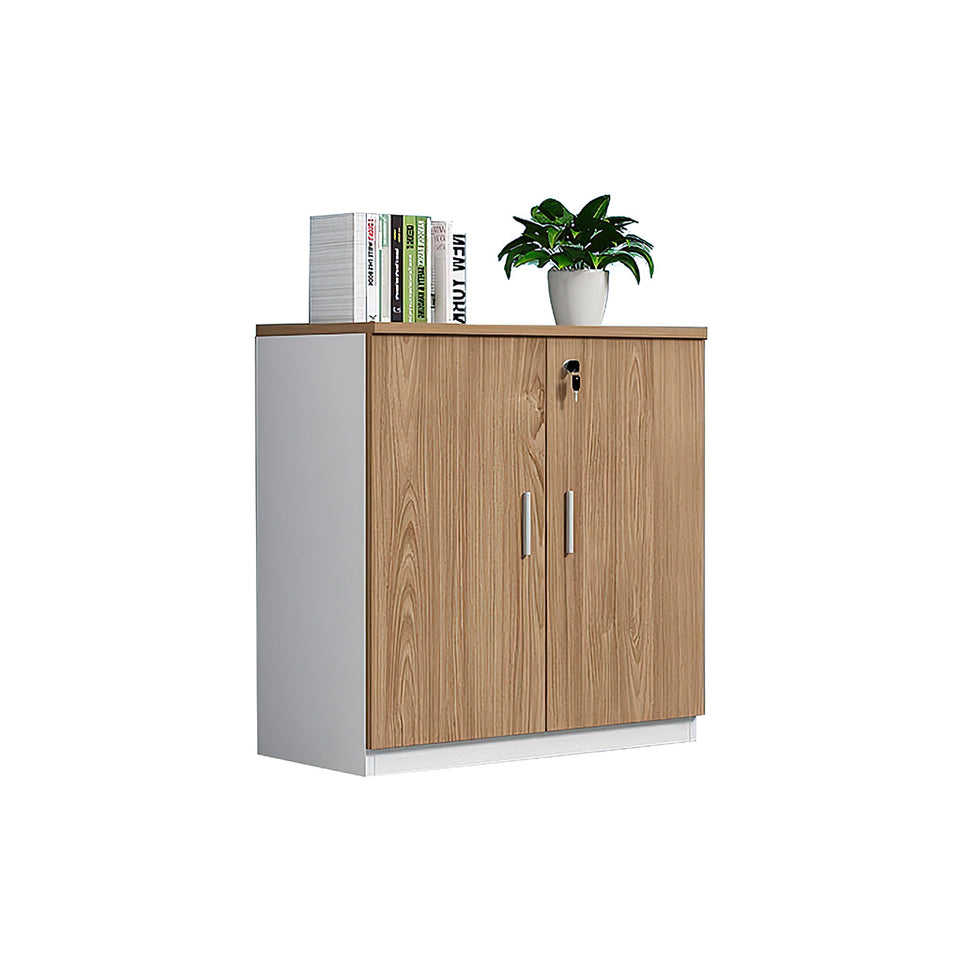 Modern Office Furniture File Low Cabinet Storage Cabinet Creating a Multifunctional Storage Space WJG-1015
