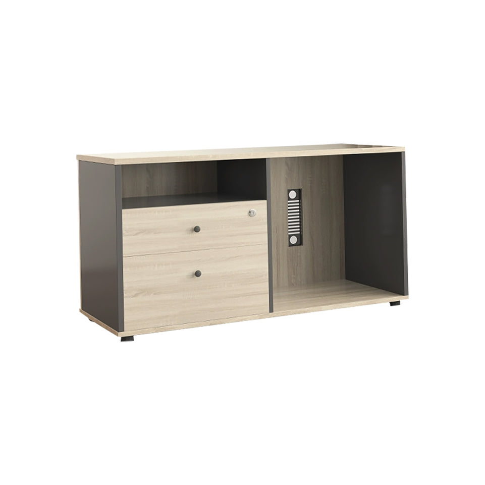 Minimalist Executive Office Desk with Cable Management Box LBZ-10121