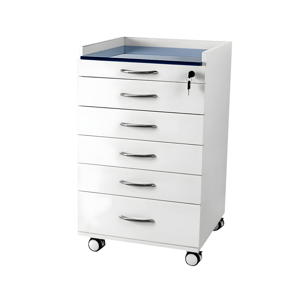 Premium Stainless Steel Mobile Dental Cabinet With Silent Wheels–Large Storage And Smooth Soft-Close Drawers YLJJ-2012