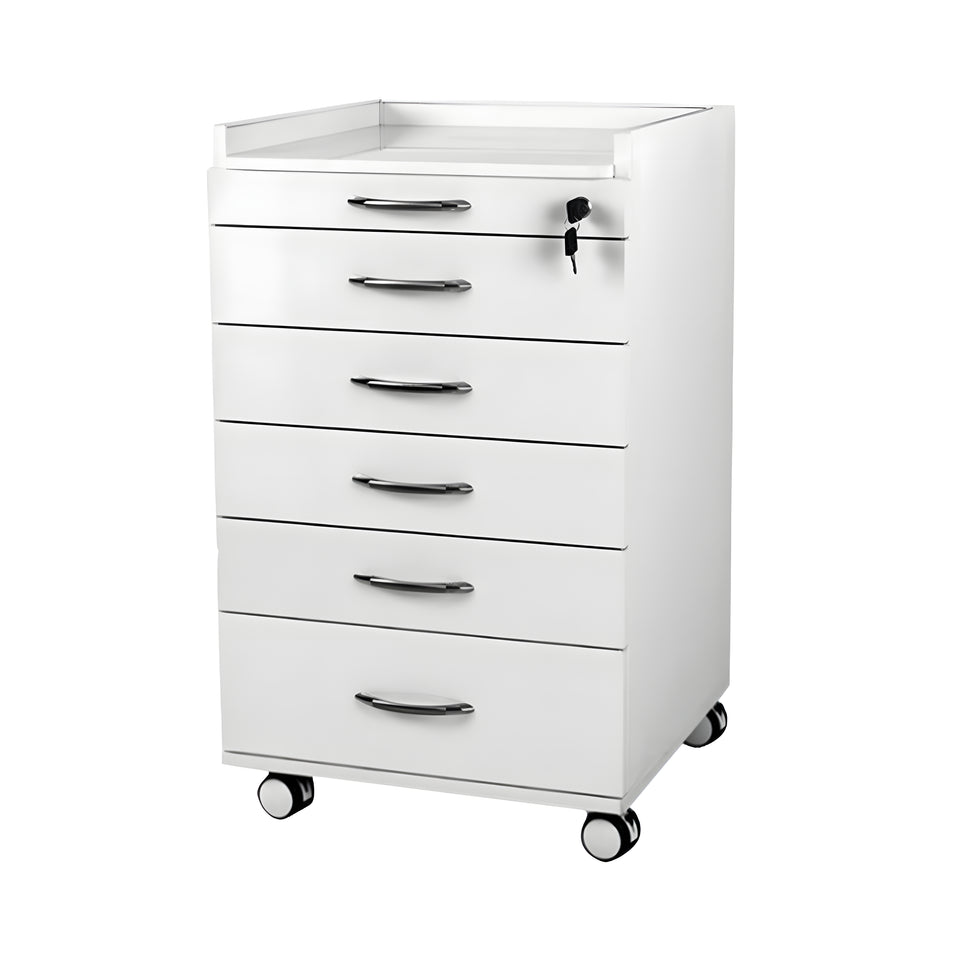 Premium Stainless Steel Mobile Dental Cabinet With Silent Wheels–Large Storage And Smooth Soft-Close Drawers YLJJ-2012