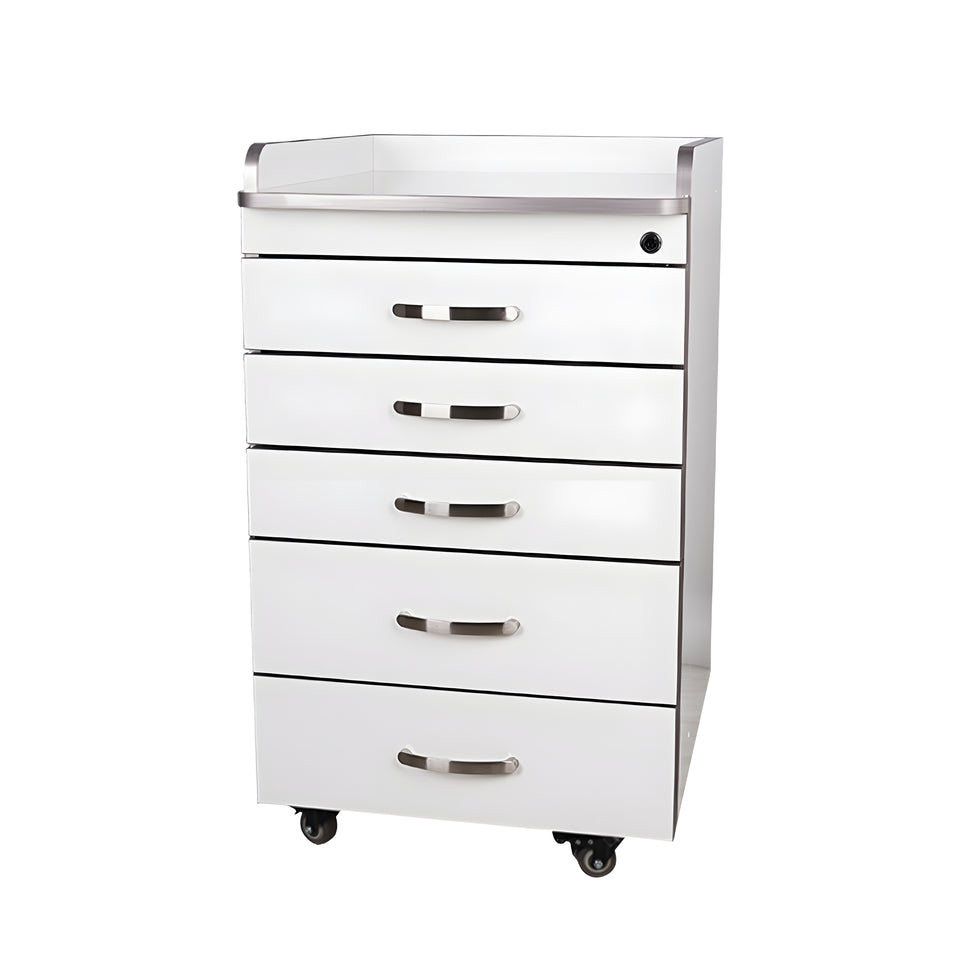 Premium Stainless Steel Mobile Dental Cabinet With Silent Wheels–Large Storage And Smooth Soft-Close Drawers YLJJ-2012