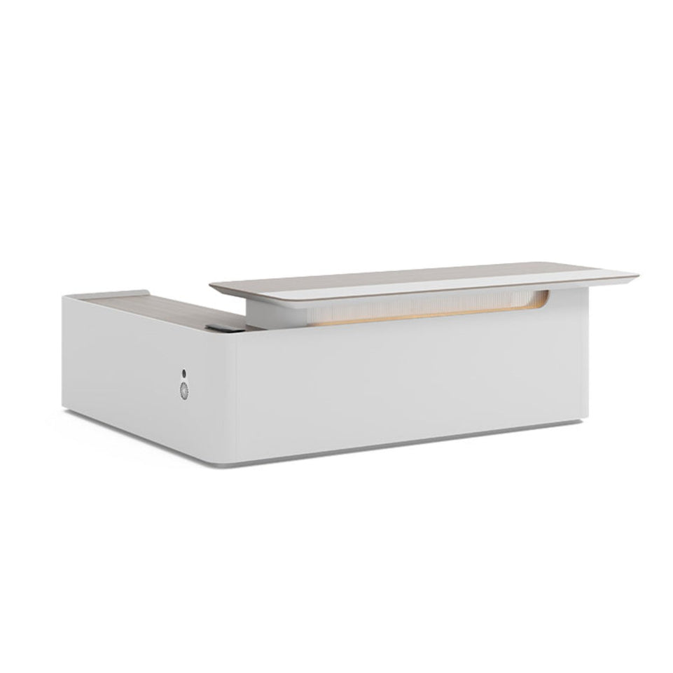 Innovative Stylish Desk Minimalist Unique Executive Desk LBZ-2020(In Stock)