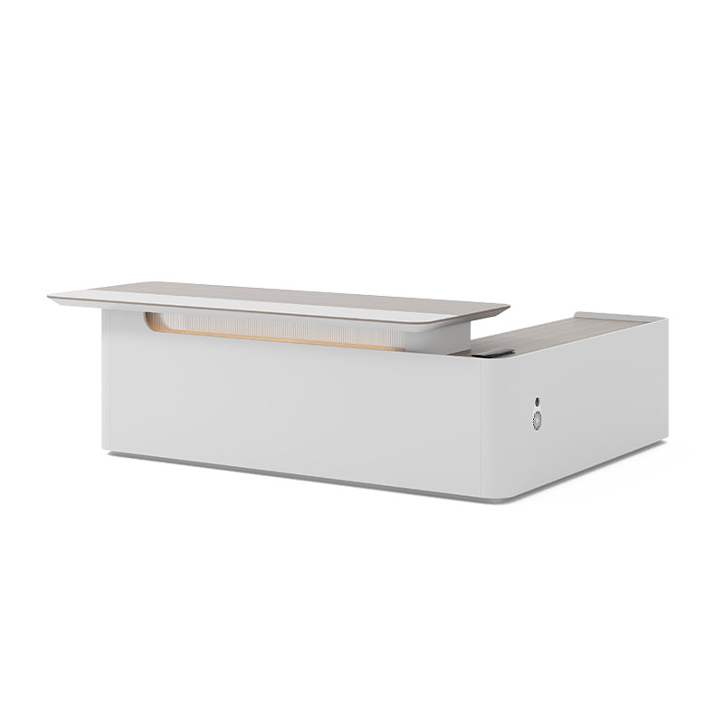 Innovative Stylish Desk Minimalist Unique Executive Desk LBZ-2020(In Stock)