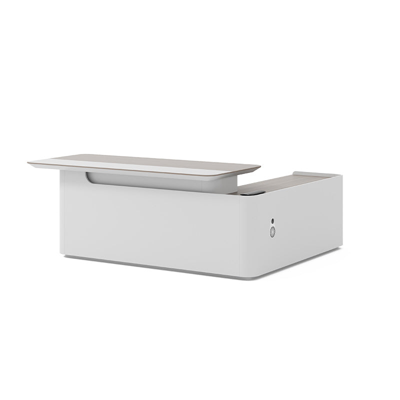 Innovative Stylish Desk Minimalist Unique Executive Desk LBZ-2020(In Stock)