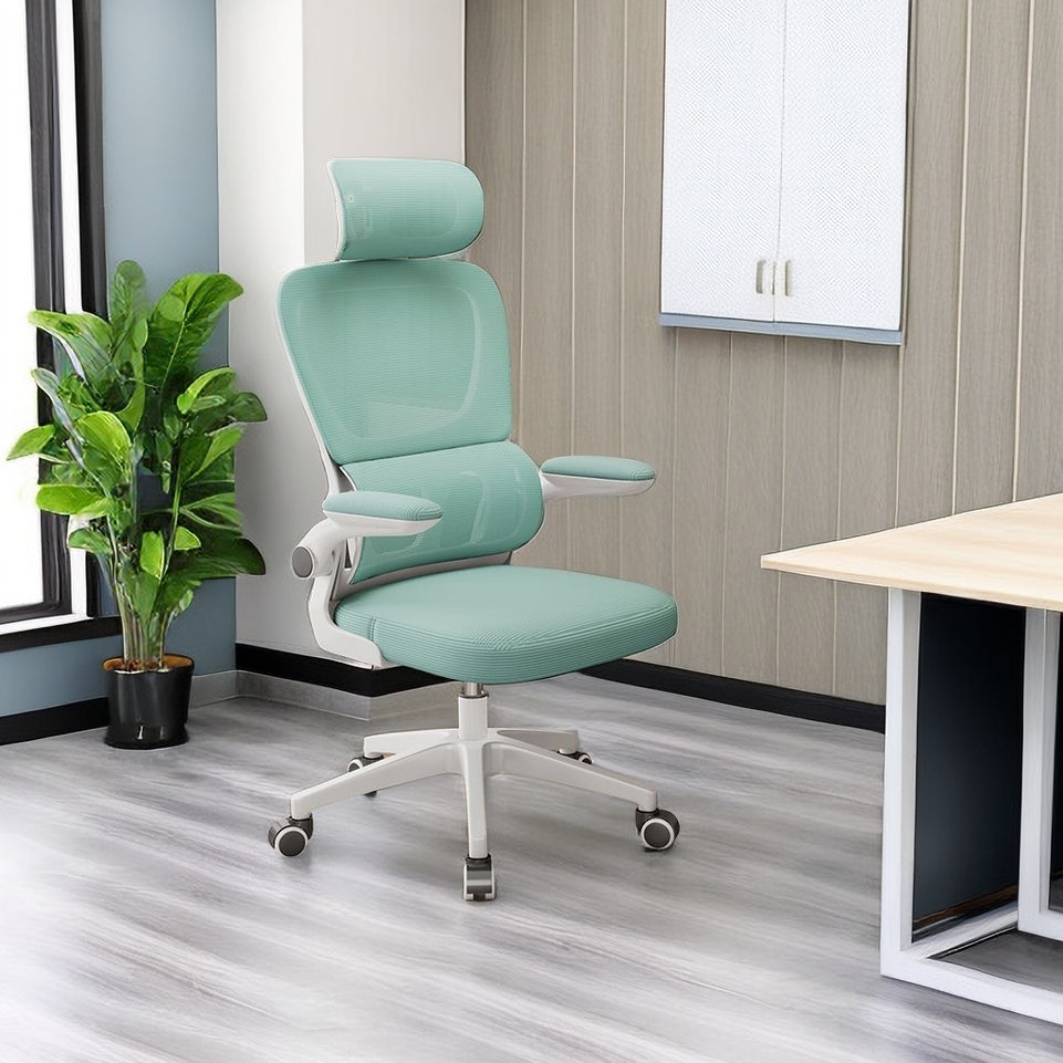 Stylish Ergonomic Office Chair Headrest Armrests and Lumbar Support Design BGY-1045