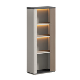 Luxury Executive Desk with File Cabinet LBZ-2058