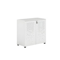 Sleek Lockable Metal Wood Cabinet for Office Storage, Adjustable Shelves, Durable Steel Doors, Spacious Partitioned Organizer CWG-2173