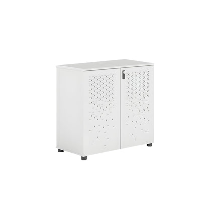 Sleek Lockable Metal Wood Cabinet for Office Storage, Adjustable Shelves, Durable Steel Doors, Spacious Partitioned Organizer CWG-2173