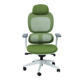 Mesh Ergonomic Office Chair with Breathable Mesh & Lumbar Support for Executive Office