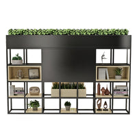 Multi-Functional Iron Frame Divider Storage Shelf for Offices & Living Room CWG-2053