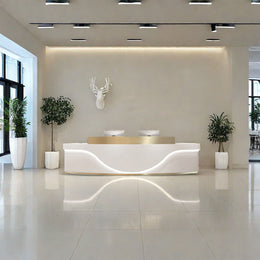 Curved Shape Straight Stainless Steel Reception Desk with LED Lights, Cabinets, and Drawers for Hotels and Offices JDT-10155