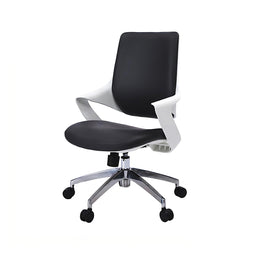 Mesh Ergonomic Office Chair 20 in Wide with Breathable Mesh, Reclining & Lumbar Support