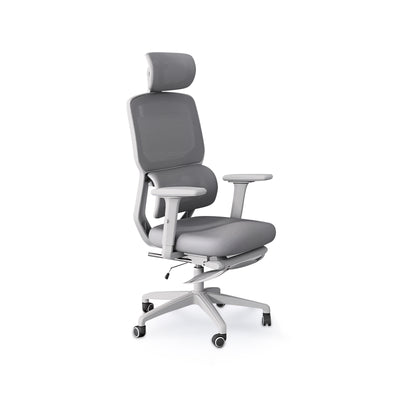 Stylish Ergonomic Office Chair with Lumbar Pillow BGY-1034