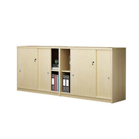 Office File Cabinet, Low Cabinet, Storage Cabinet WJG-737
