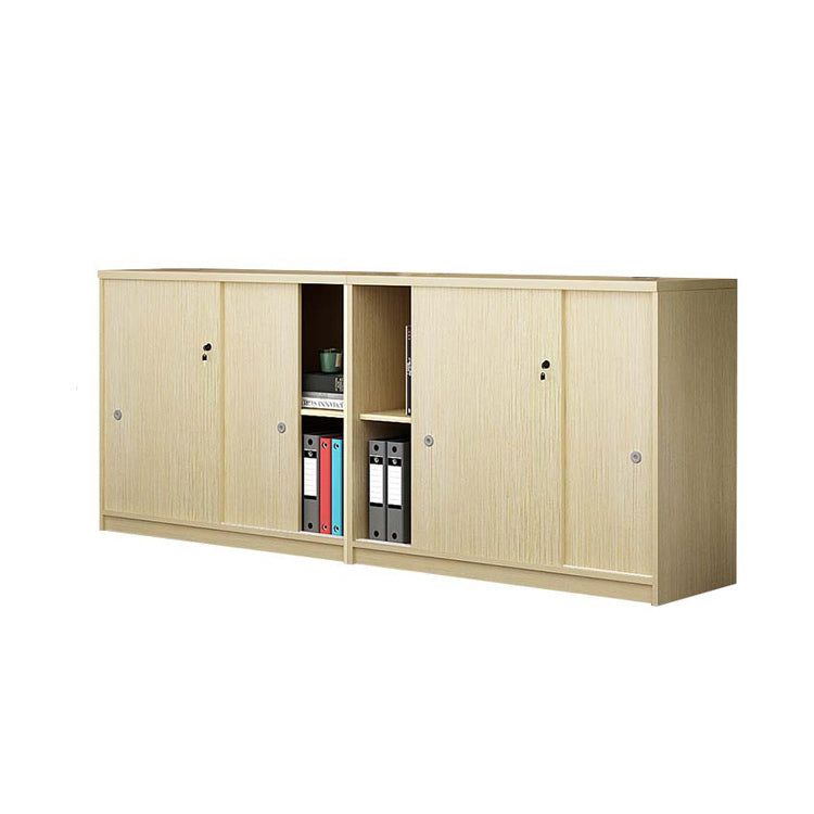 Office File Cabinet, Low Cabinet, Storage Cabinet WJG-737