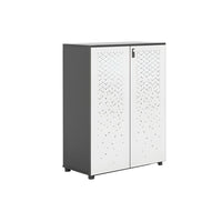 Sleek Lockable Metal Wood Cabinet for Office Storage, Adjustable Shelves, Durable Steel Doors, Spacious Partitioned Organizer CWG-2173