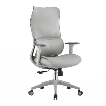Ergonomic Office Chair with Lumbar Support for Home Office