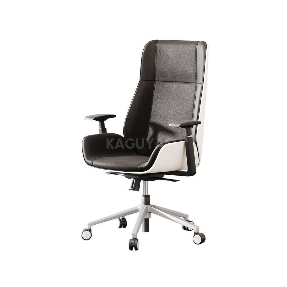 High-Back Office Chair with Adjustable Armrests, Recline, Swivel & Quiet Casters