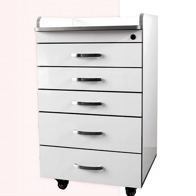 Premium Stainless Steel Mobile Dental Cabinet With Silent Wheels–Large Storage And Smooth Soft-Close Drawers YLJJ-2012