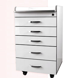 Premium Stainless Steel Mobile Dental Cabinet With Silent Wheels–Large Storage And Smooth Soft-Close Drawers YLJJ-2012