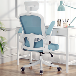 Ergonomic Swivel Office Chair With Adjustable Armrests And Lumbar Support BGY-2054