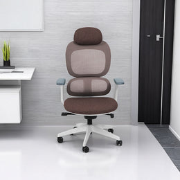 Mesh Ergonomic Office Chair with Breathable Mesh & Lumbar Support for Executive Office