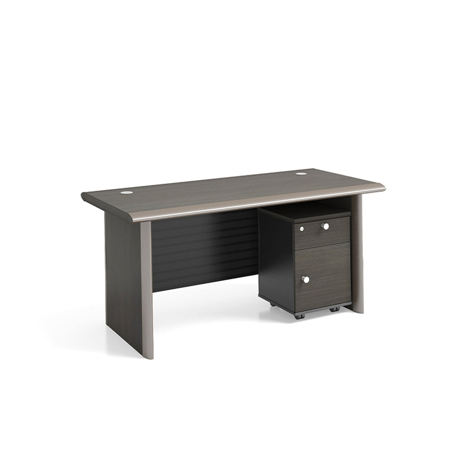 Modern Minimalist Light Luxury Executive Desk LBZ-2028