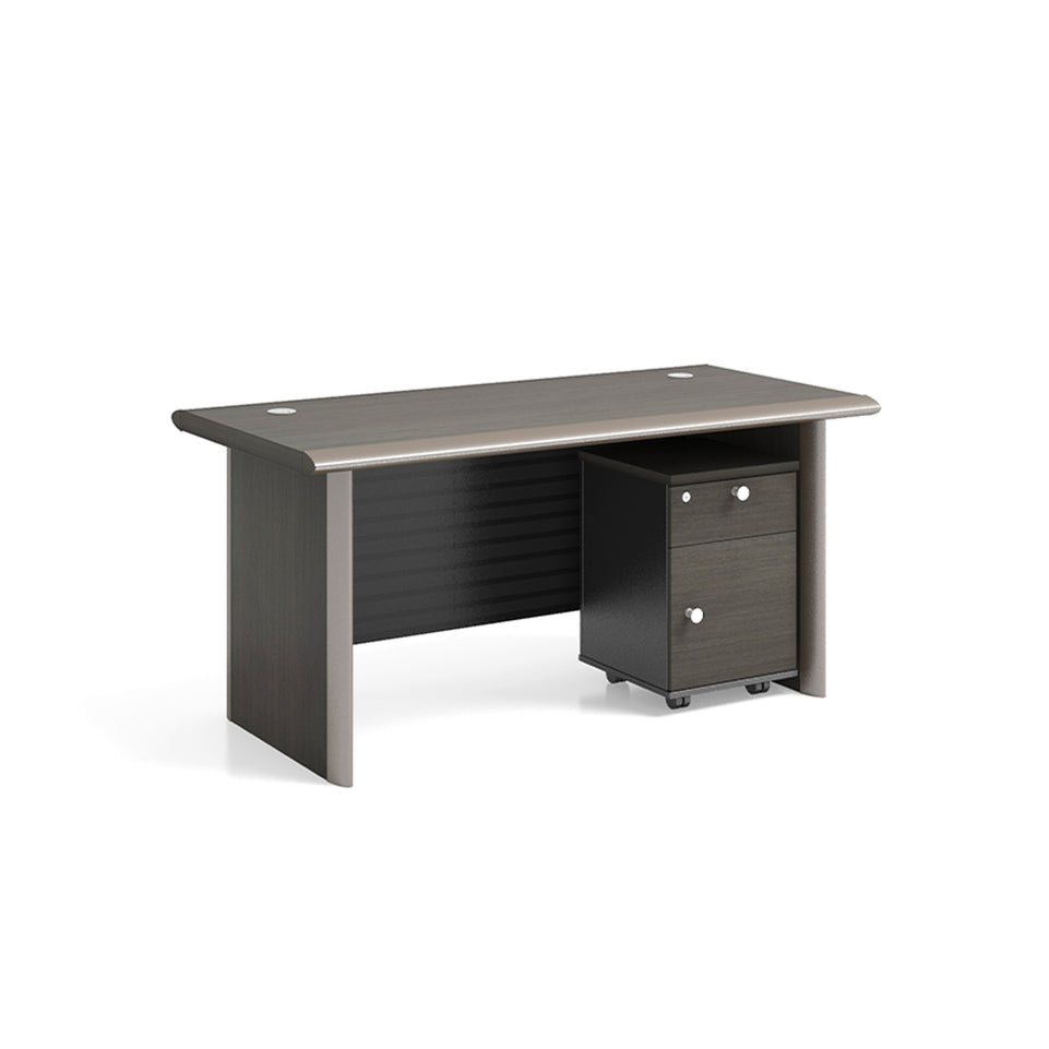 Modern Minimalist Light Luxury Executive Desk LBZ-2028