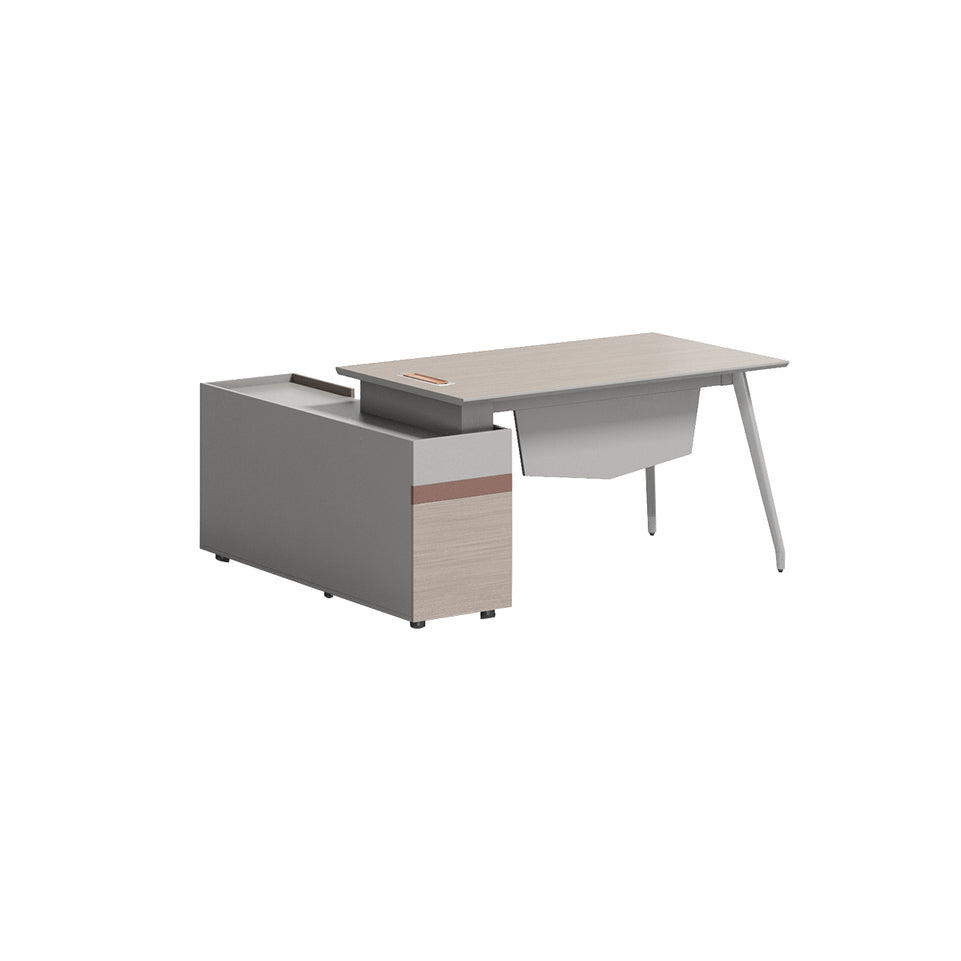 Minimalist Durable Executive Desk Mordern Desk LBZ-2060